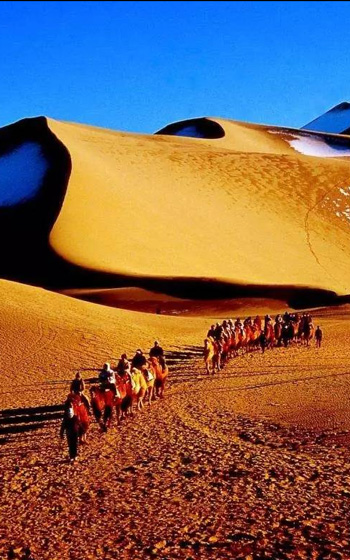 乐鱼体育中国官网-包含无与伦比出色表现，一路逆风砥砺前行的词条