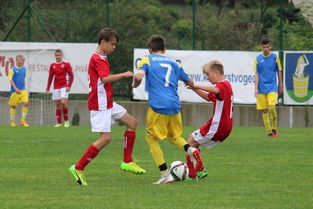 乐鱼体育课程-强手如云，南美豪门亮相尽显实力